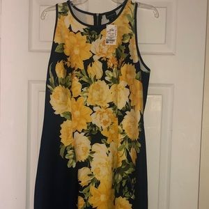 NWT navy and floral dress